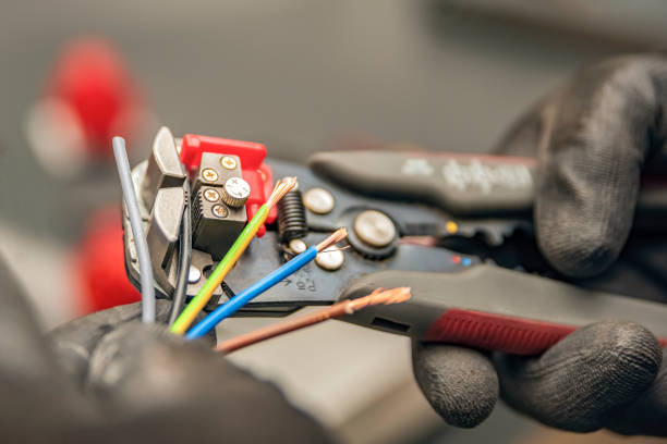 Best Electric Panel Repair  in Stanley, WI